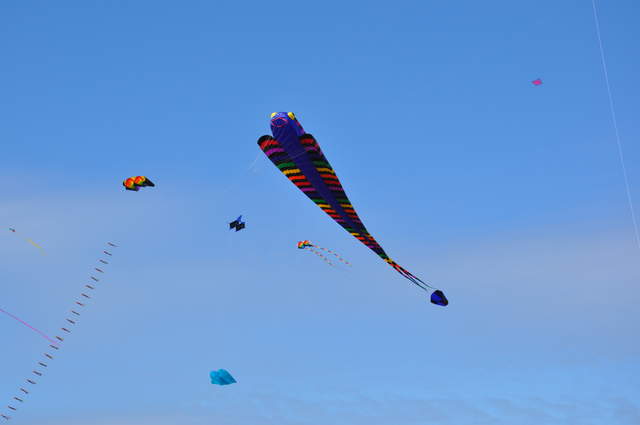 DSC_0011.JPG