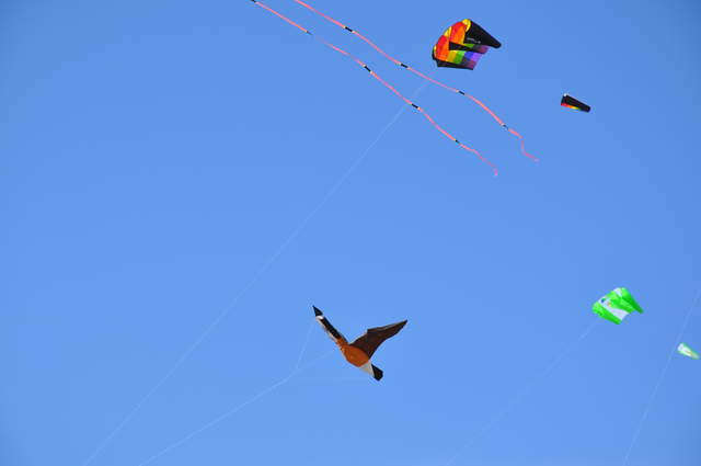 DSC_0015.JPG