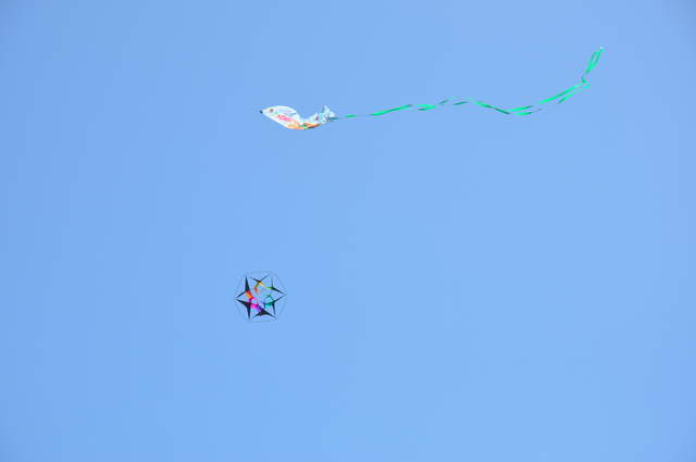 DSC_0016.JPG