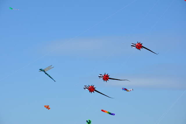 DSC_0018.JPG