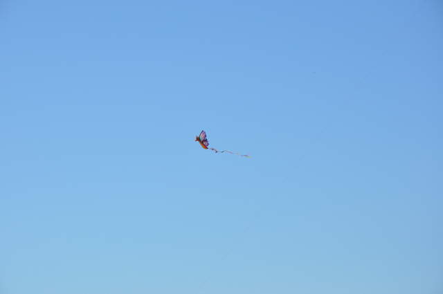DSC_0021.JPG