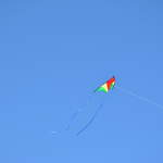 DSC_0026.JPG