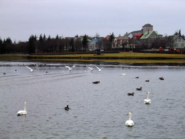 Iceland 070.jpg