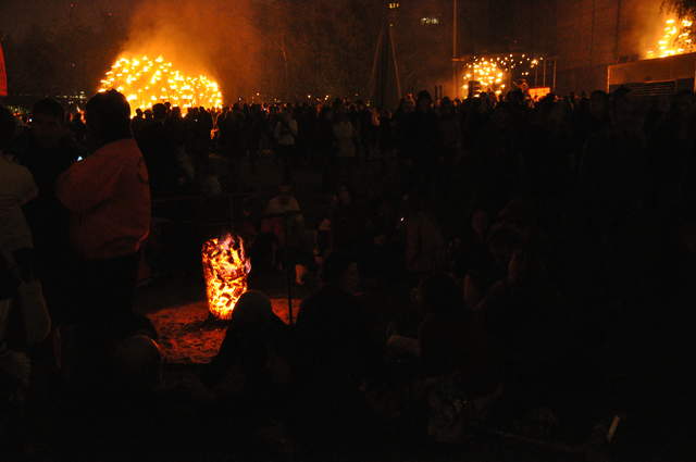 Fire garden sculptures