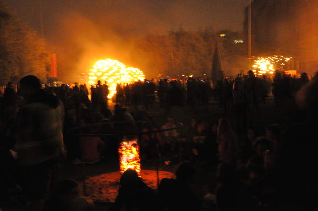 Fire garden sculptures