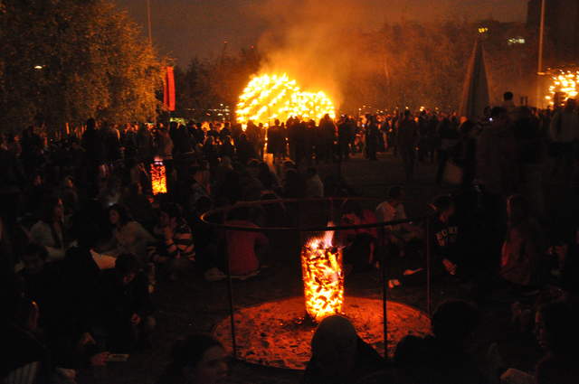 Fire Garden
