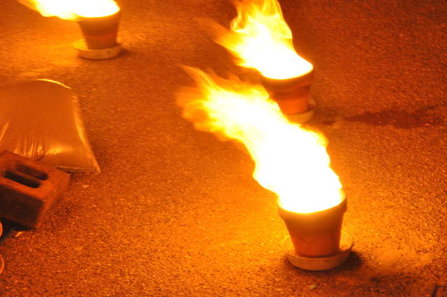 Fire garden