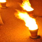 Fire garden