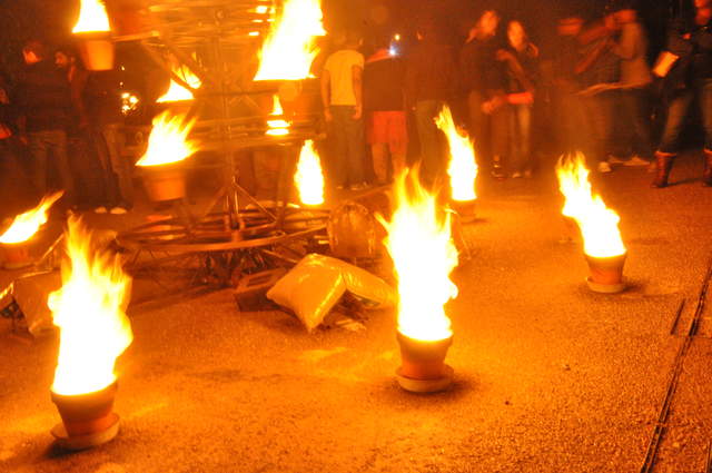 Fire garden