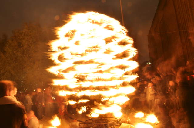 Fire garden sculptures
