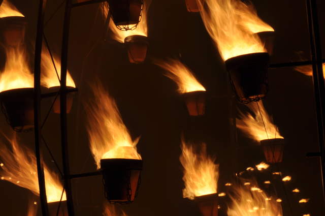 Fire garden flames