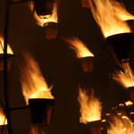 Fire garden flames