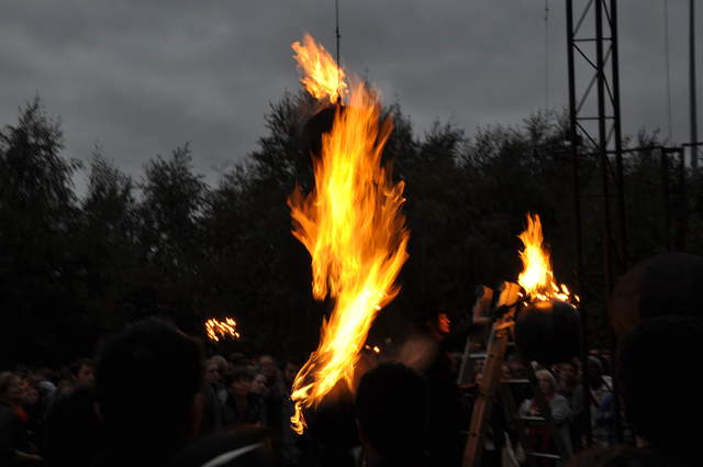 Fire garden flames