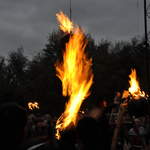 Fire garden flames