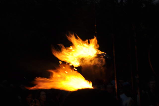 Fire garden