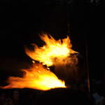Fire garden