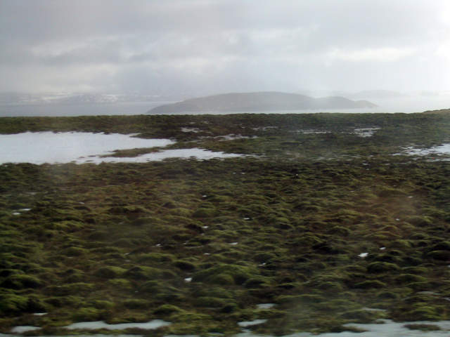 Iceland 126.jpg