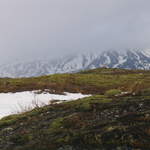Iceland 128.jpg
