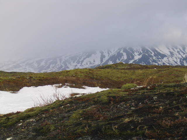 Iceland 128.jpg