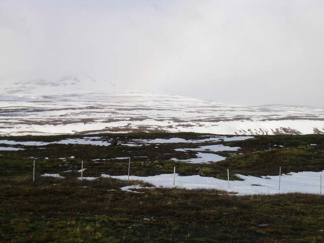 Iceland 129.jpg
