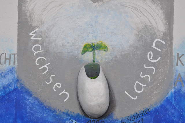 Rosemarie Schinzler: Wachsen lassen