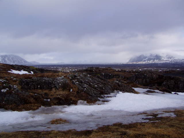 P3050080.JPG