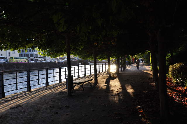 DSC_0228.JPG