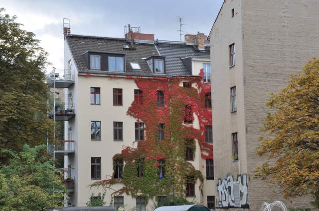 House in Berlin