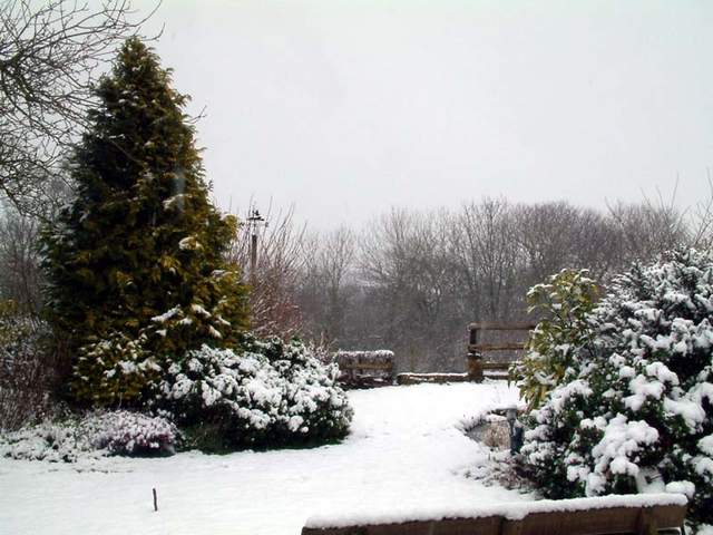 Snow scene 011a
