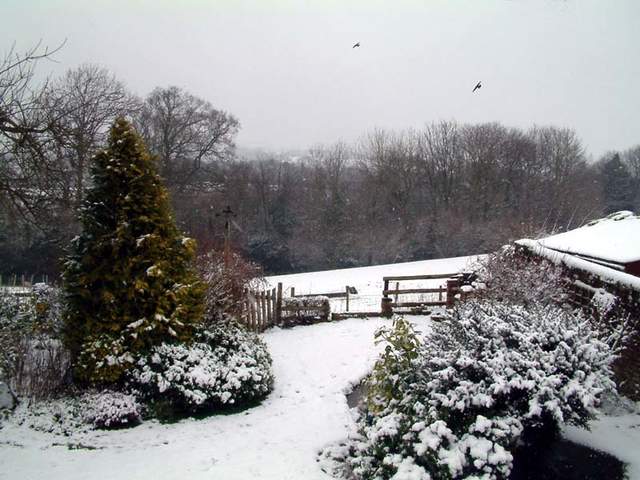 Snow scene 020a