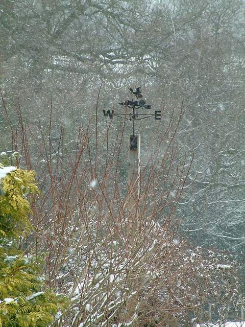 Snow scene 018a