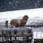 23rd-feb05 004
