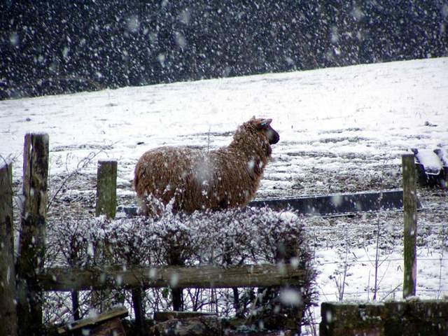 23rd-feb05 004