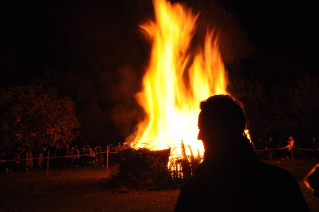 DSC_0180.JPG