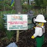 legoland2005 020.jpg