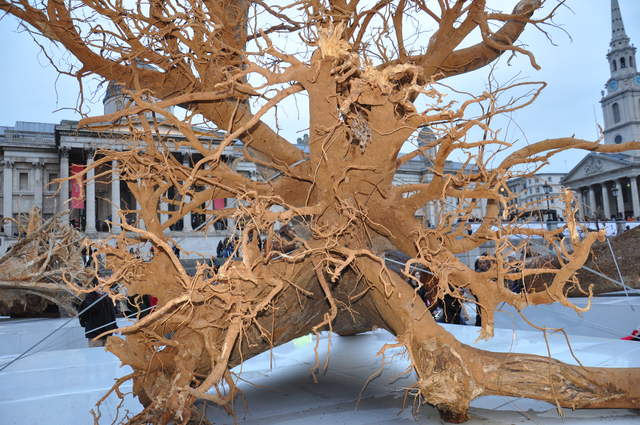 Ghost Forest