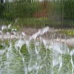 legoland2005 032.jpg