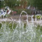 legoland2005 033.jpg