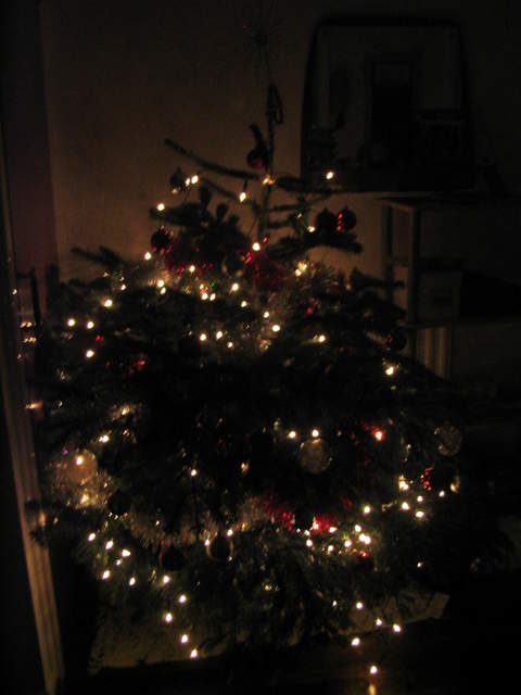 Lights of Christmas