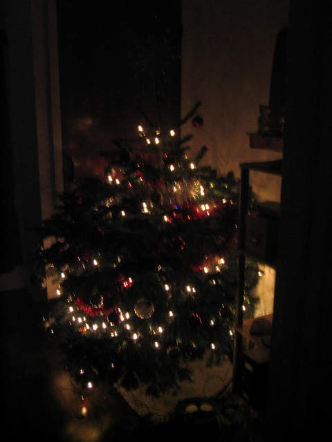 Lights of Christmas