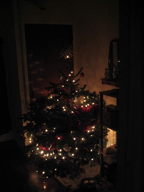 Christmas Tree lights
