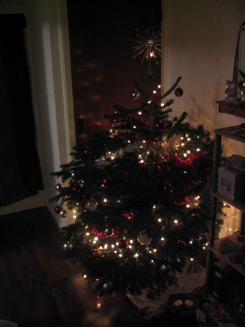 Christmas Tree lights