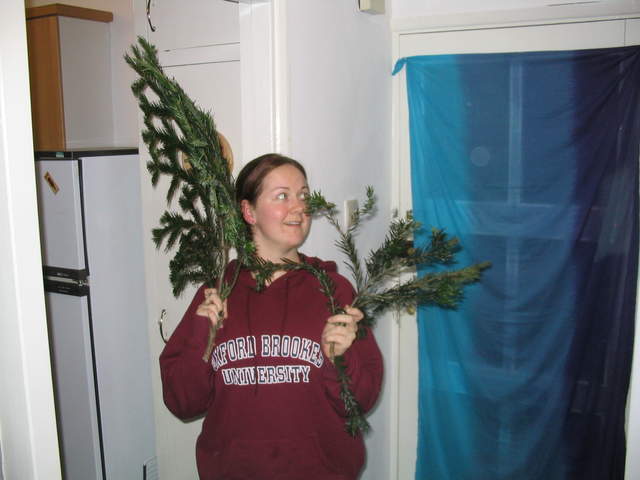 Almost a convincing impression of a tree