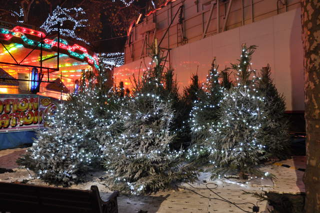 Leicester Sq. Christmas Trees