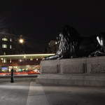 Lions at Trafalgar Sq