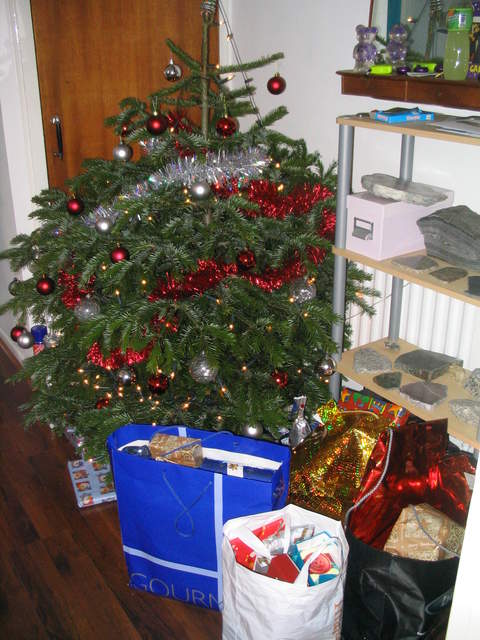 Christmas2004 038.jpg