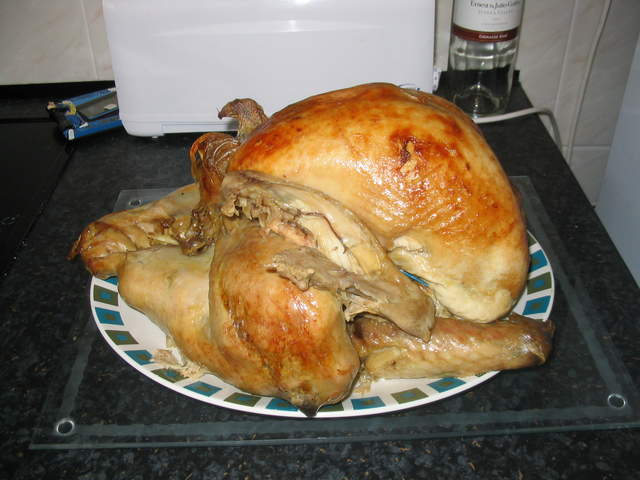 Christmas2004 040.jpg