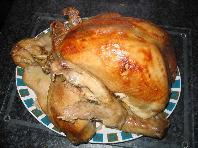 Christmas2004 041.jpg