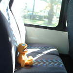 Zippy decides to tour the El Yunque Rainforest