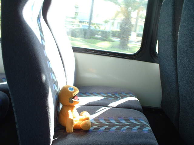 Zippy decides to tour the El Yunque Rainforest